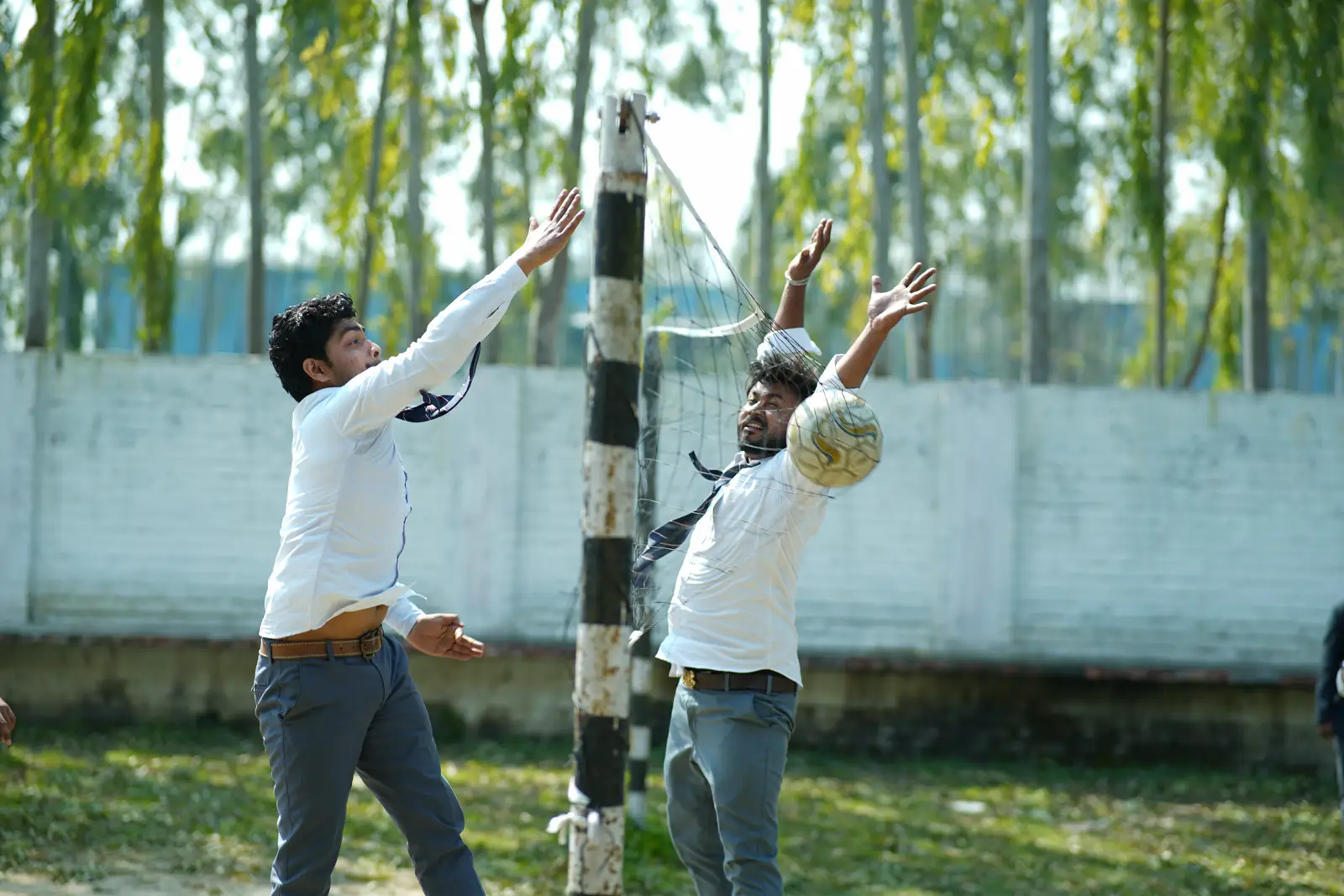 Volleyball — Action Shot